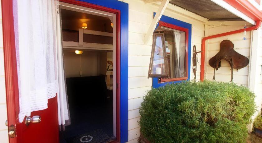 Stables Lodge Backpackers Napier Exteriör bild