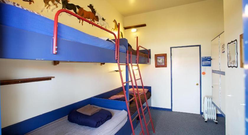 Stables Lodge Backpackers Napier Exteriör bild