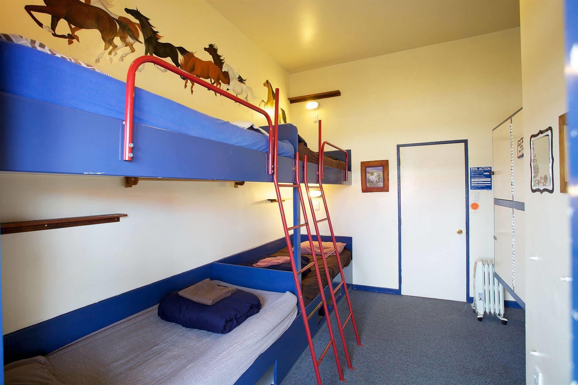 Stables Lodge Backpackers Napier Exteriör bild